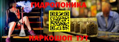 спиды Гусь-Хрустальный