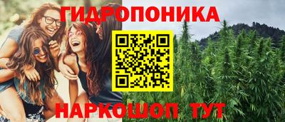 ГАЛЛЮЦИНОГЕННЫЕ ГРИБЫ Гусиноозёрск