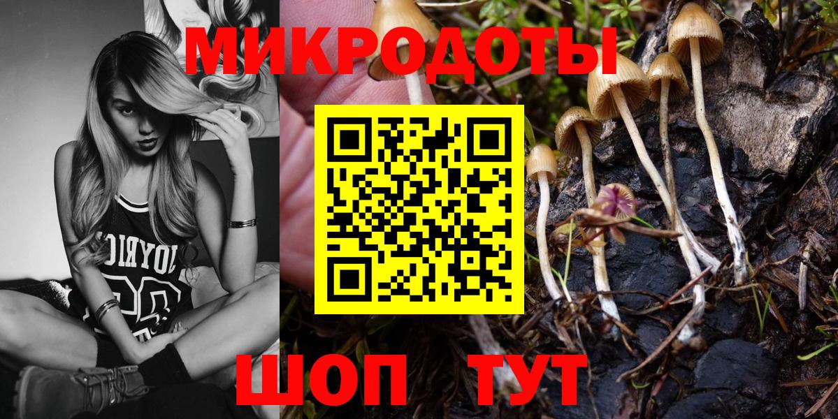 Новоалтайск  Псилоцибиновые грибы GOLDEN TEACHER  Галлюциногенные грибы GOLDEN TEACHER  Вход с VPN 